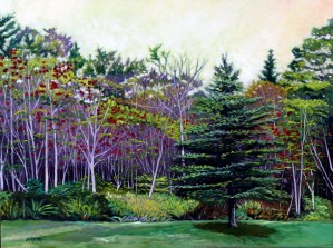 Large Cedar Among Trees with Red Flowers